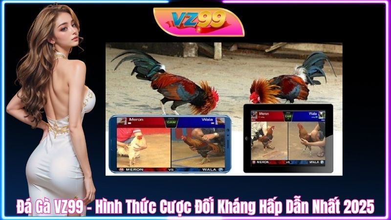 Đá Gà VZ99 – Hình Thức Cược Đối Kháng Hấp Dẫn Nhất 2025 Đá Gà VZ99 – Hình Thức Cược Đối Kháng Hấp Dẫn Nhất 2025